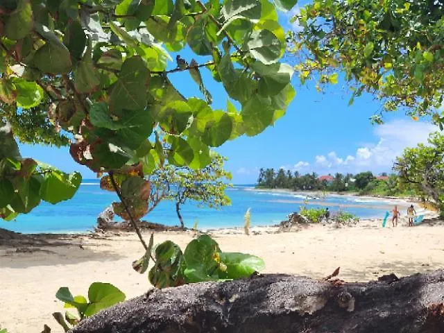 Gite Kaz' A Tyka Jacuzzi Privatif Saint-Francois  Guadeloupe